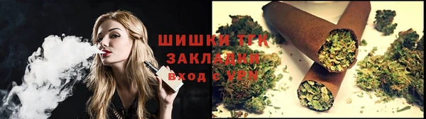 гидра Верея