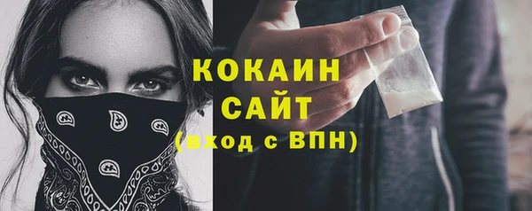 гидра Верея