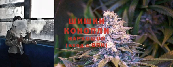 гидра Верея