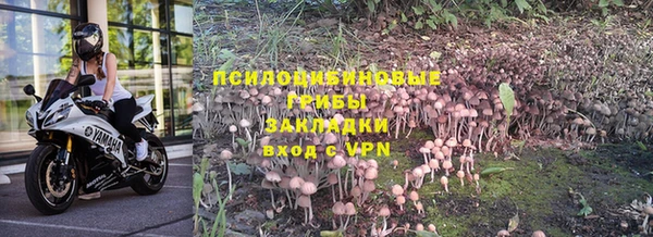 гидра Верея